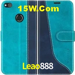 Statistics Leao888